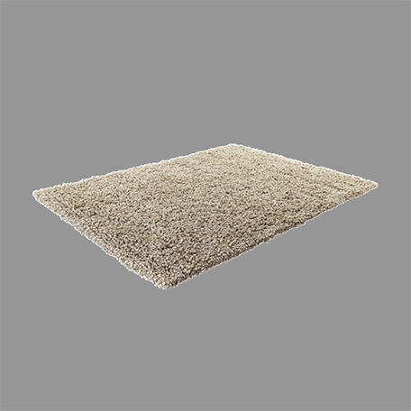 Carpet Processing